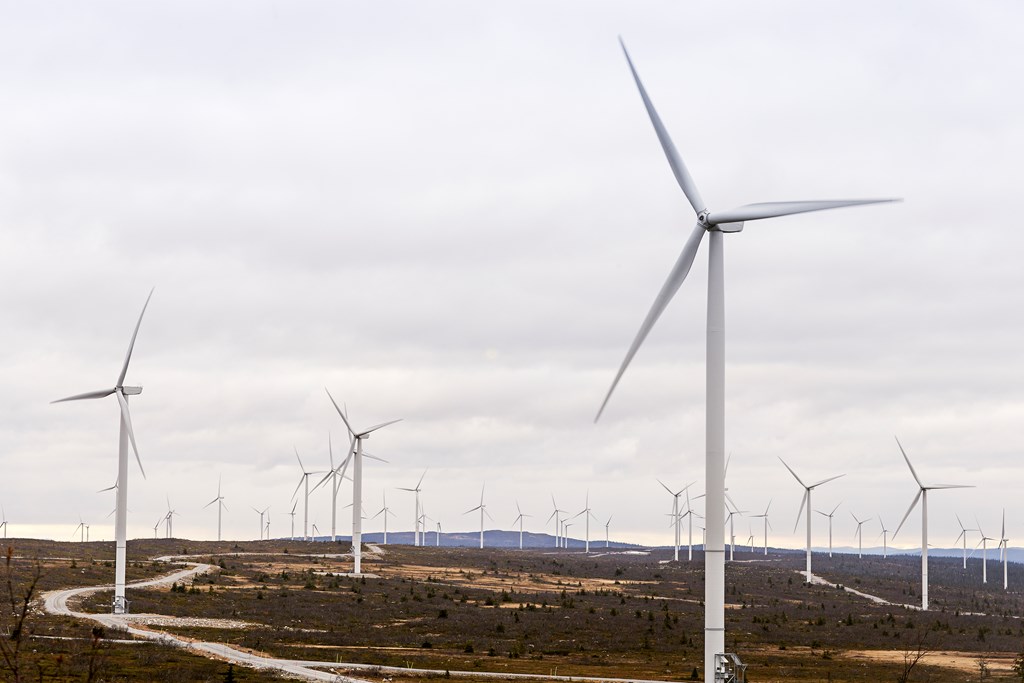 Energy comes from Skellefteå: “We aim to be world leaders”