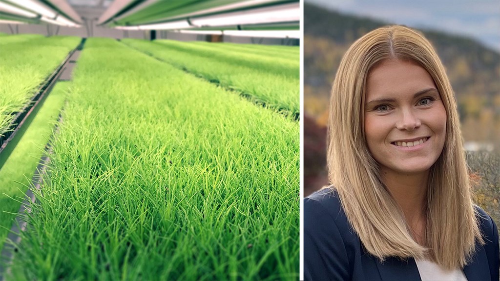 Johanna Johansson, Plantvation