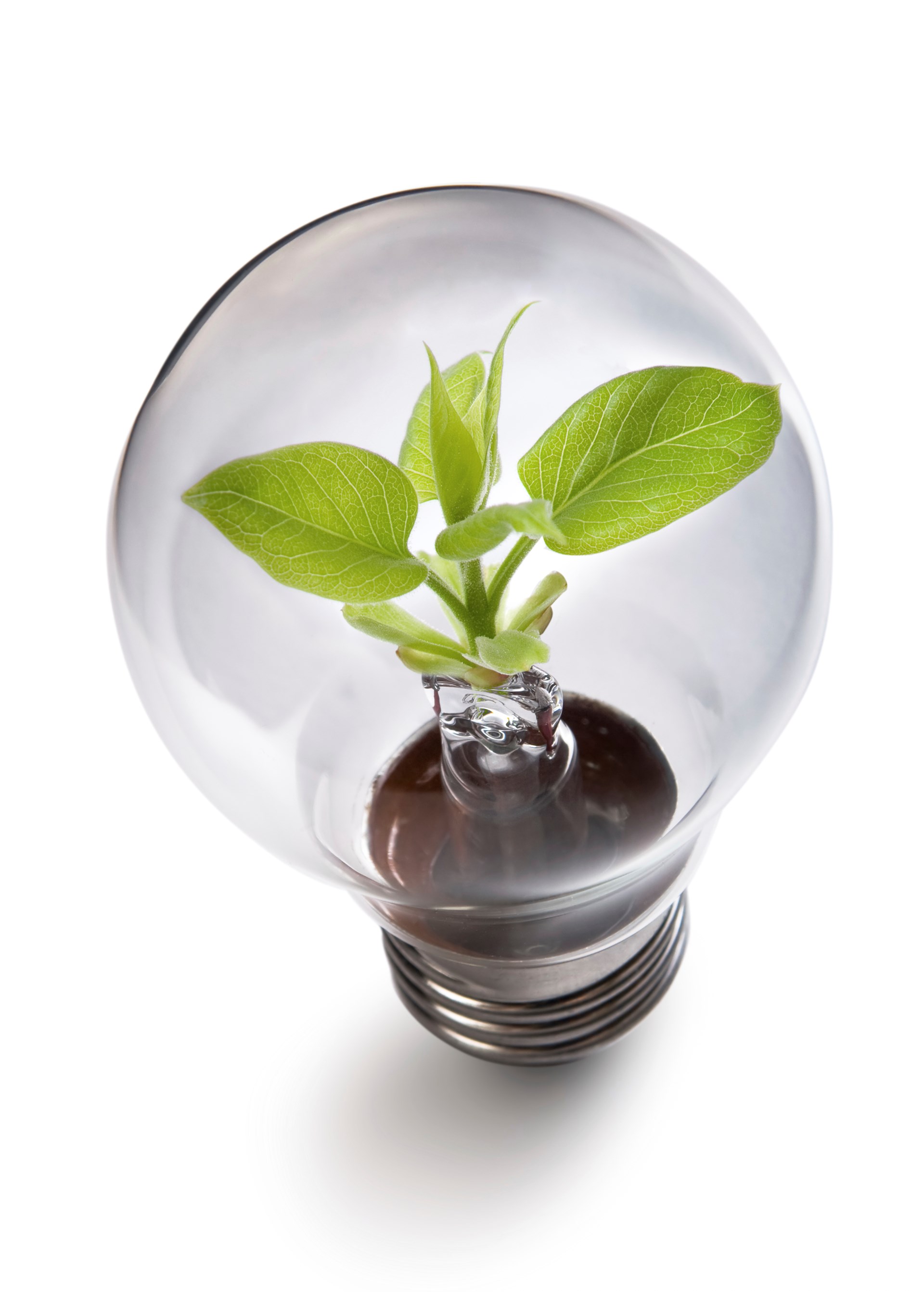 North Sweden Cleantech - Intellectual Property Rights and Innovation ...